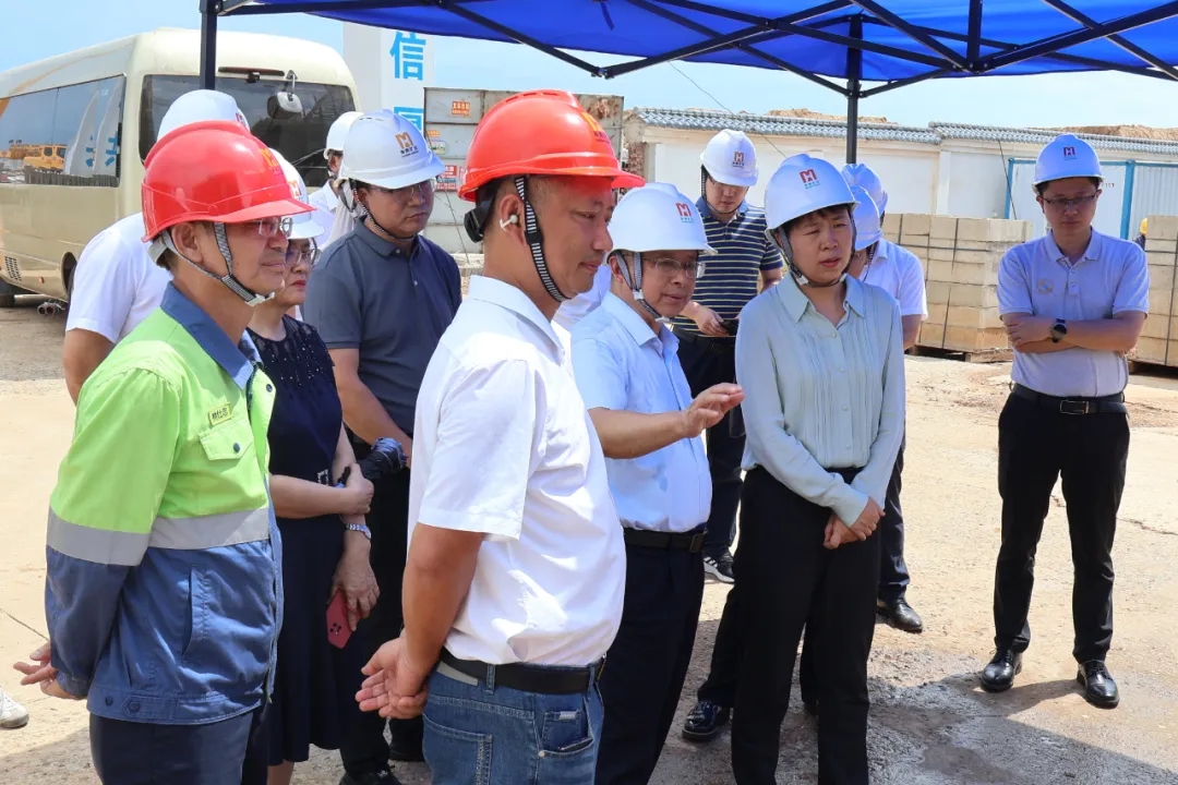 海南省副省長尹麗波赴星之海2萬噸氫氧化鋰項目現(xiàn)場調(diào)研1.jpg