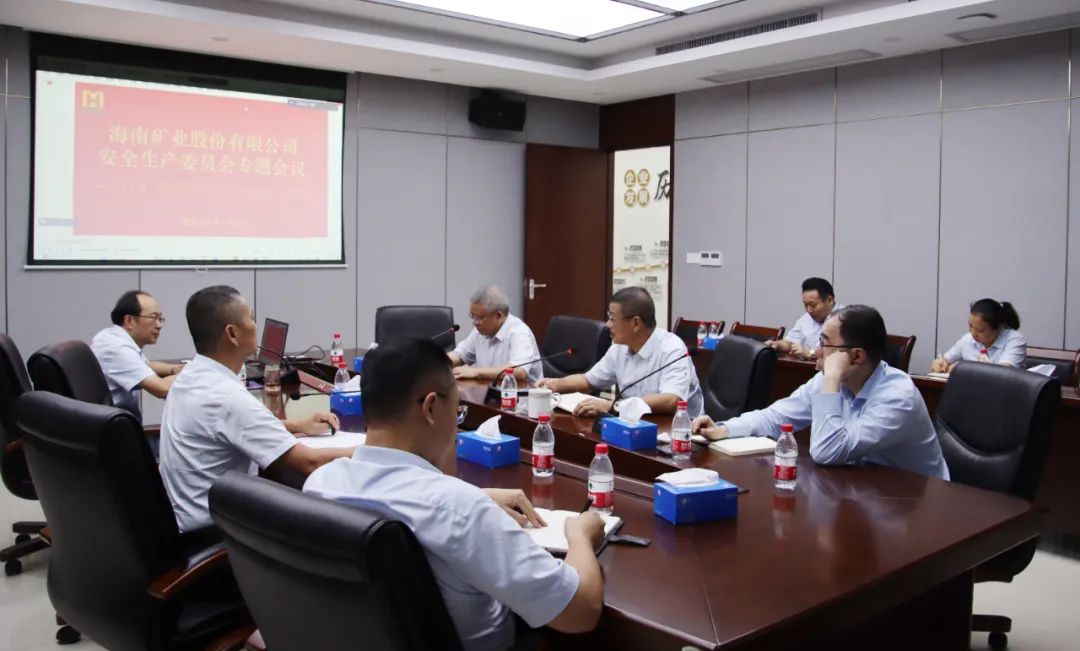 海南礦業(yè)安委會學習宣貫《關于進一步加強礦山安全生產工作的意見》