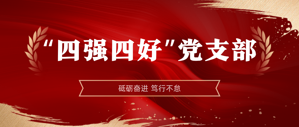 弘揚榜樣精神 | 海南礦業(yè)2024-2025年度“四強四好”黨支部
